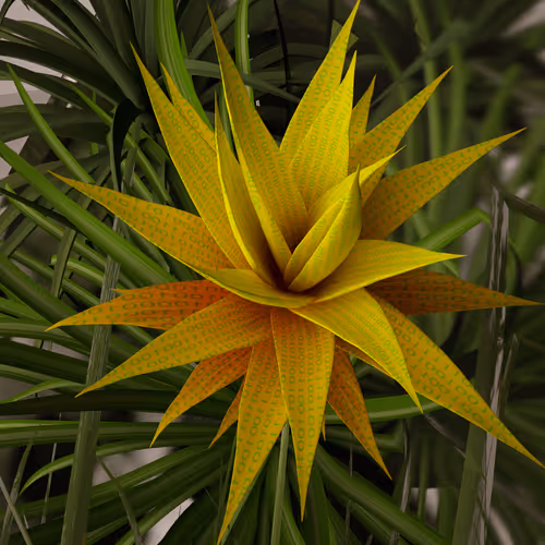 Item #26638579104251787935456421339691708907592115423334192605162100793277860021225 Media