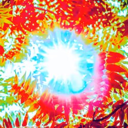 LitD _ TRANSCEND