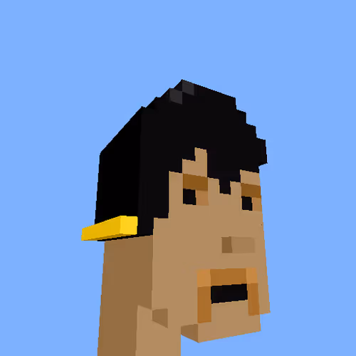 Punksvoxels