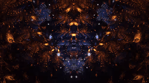 Selfrealized X9lzaAUW2g
