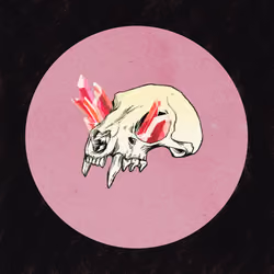SKULLZ #8
