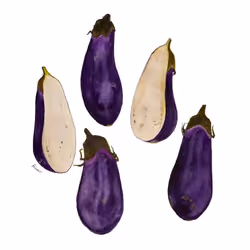 Eggplant #7