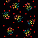 97041014755735829467502486678607221262483335867137425095700871996968693399553