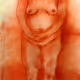 114353231677114469216050027678361696333648012560720851407738452690256539942913