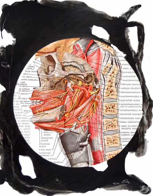 Item #35041902778173331559680500540735012093335203387204658820110218348936959098881 Media