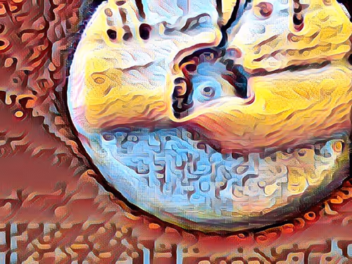 Item #68103433958729647441734292428991292973430553462390996571560802223066584186881 Media