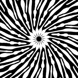 Cryptodala #5