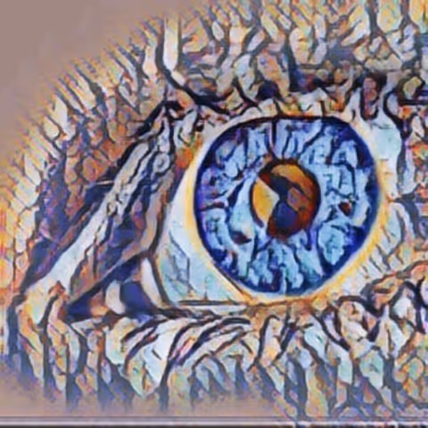 Item #82545234277587206395408975363826305043596553451440928486250420555272412987393 Media