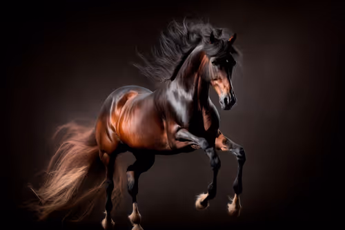 Item #29082809964077671479746814952421386145910700450503917223364975078621312974849 Media