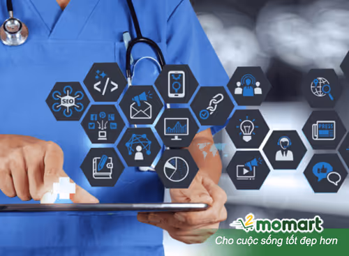 wiki2momart Collection