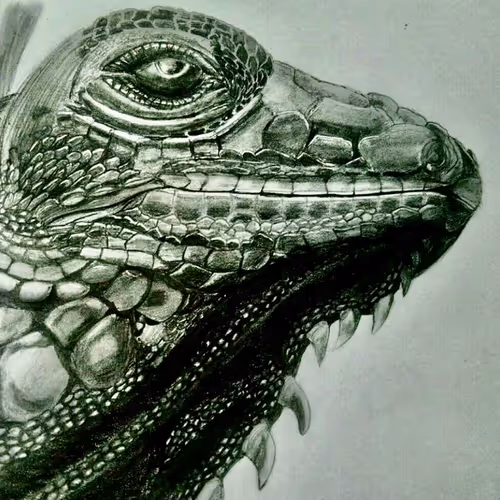 Lizard