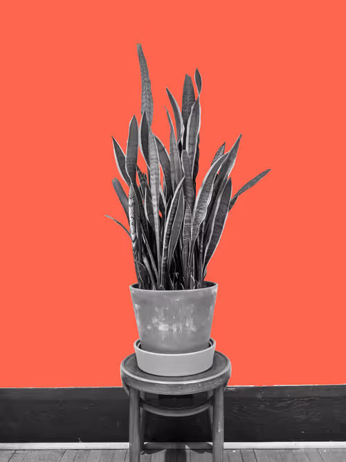 Item #25379124807980713745219244606437574046087384809022650852355167092829214212097 Media