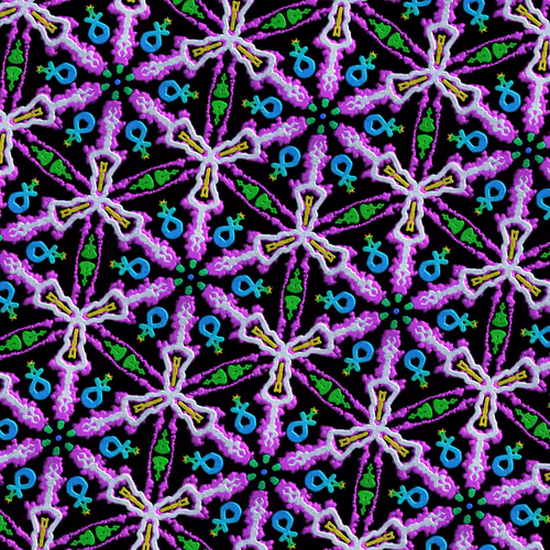 50367686488625809029713578217732297666109738085027278390782918408735243108353