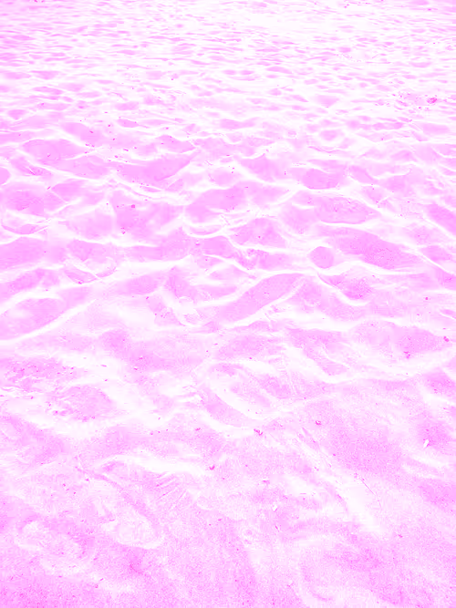 Item #98843954857266856101330559780238873570552098425130206222908041835135868338177 Media