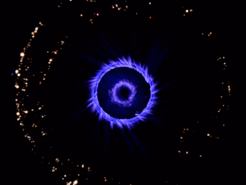 Item #45731211464929816441170859700976373292149702980452148839612468962202725908481 Media