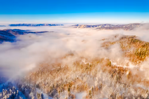 Item #65269379632311846935399782882204569097727852273357050594250130911224863391745 Media