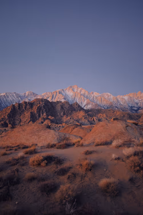 Item #31808388363413950485853344810584648245569292954674958749776460880615869251585 Media