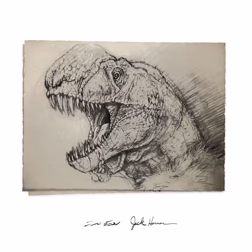 Item #22582927822880265950669941219355019494534003366966592492782895287451407876097 Media