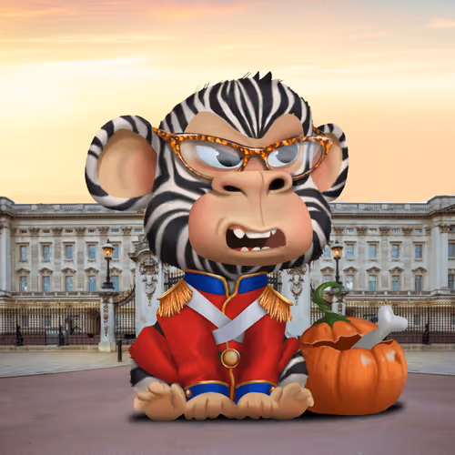 VARONA420 Collection - old