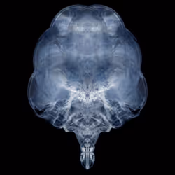 85859191866638808365331437874953228966785819470149775310971063488015761408001