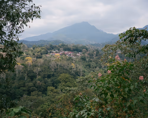 Item #63564870946985135886813841758928260740997425231874414062231035168377026904065 Media