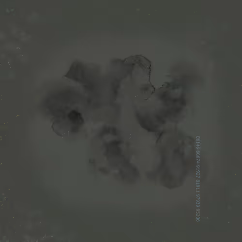 Item #43011884262577116884409125546817165524391148382738594139282486720751483224065 Media