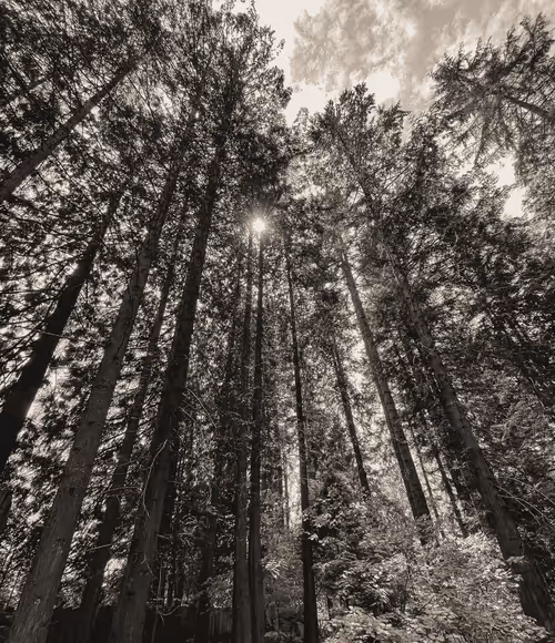 Item #60286361363657250857601775030637471218171117852543341295073304051434404184065 Media