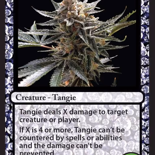 Tangie  62/65