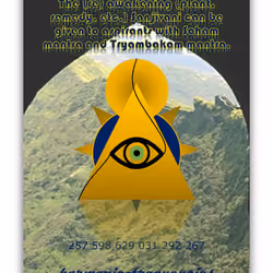 Ragas & Mantras Collection #31