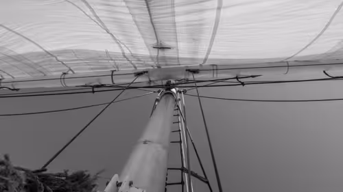 Item #34110083671509346653453586160941404072216291014688644284046702257041280335873 Media