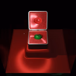 103642946842787335039367986079769331233233061739864153439895106593649604952065