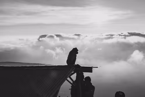 Item #95633765474931350240165697288740384276668175365753332134829565088237071892481 Media