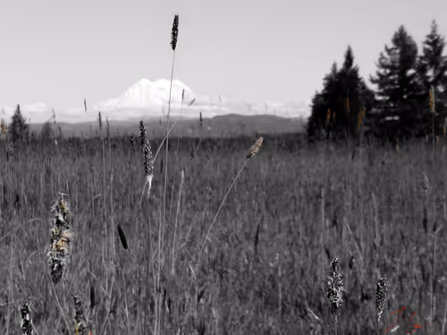 Item #20976301758881134831989222665278936219784108903075361536191037501851555594241 Media