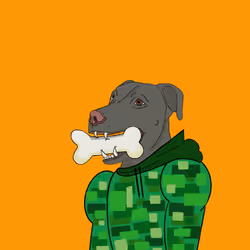 56207060566857878026370727863859684632746074952532842293882533516893963157505