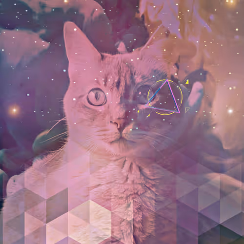 56114814756646127397705002134489221206320113324181291230627375197510925549569