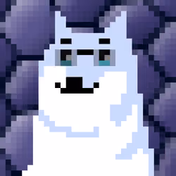 CryptoShibe #4293