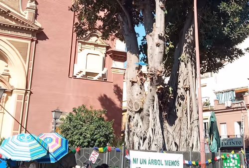 Item #41984921199182874864094388930978196358806648927891017657933937802869315993601 Media