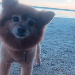 Beach Winnie