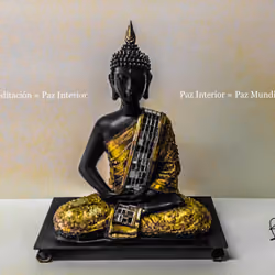 Meditación = Paz Interior