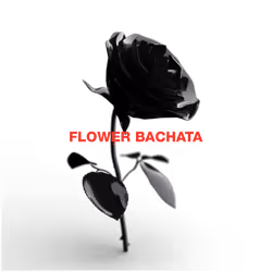Flower Bachata Logo Founders Edition
