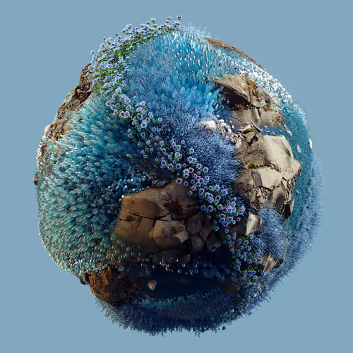 Item #29025029791859050124720480462956340608557292548544538512690378041300092977153 Media