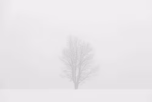 Item #82038507178112004707132471695972498506825775528903589266831690696362041540609 Media