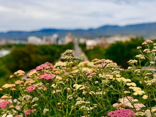 Item #23693537714086204611676086495365821193573285905873750123348194070706046107649 Media