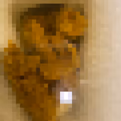 2850415134272365380187775685678842410458265265709128331682257576644514414593