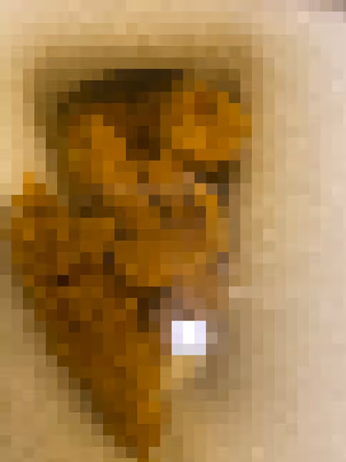 Item #2850415134272365380187775685678842410458265265709128331682257576644514414593 Media