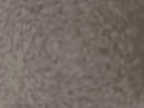 Untitled Collection #75948700