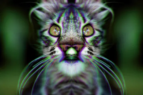 Item #95930744612989253264341458363878669706731092846429446161851758916884823539713 Media