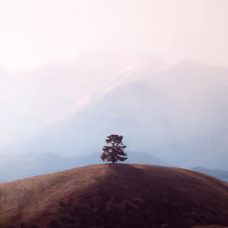 Less is more #7