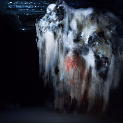 Earthfungal