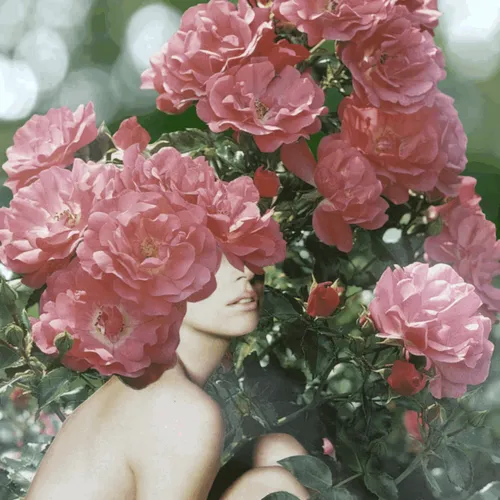 Item #56237005650679827208422272941338028549111287741661461515168449825789425221635 Media